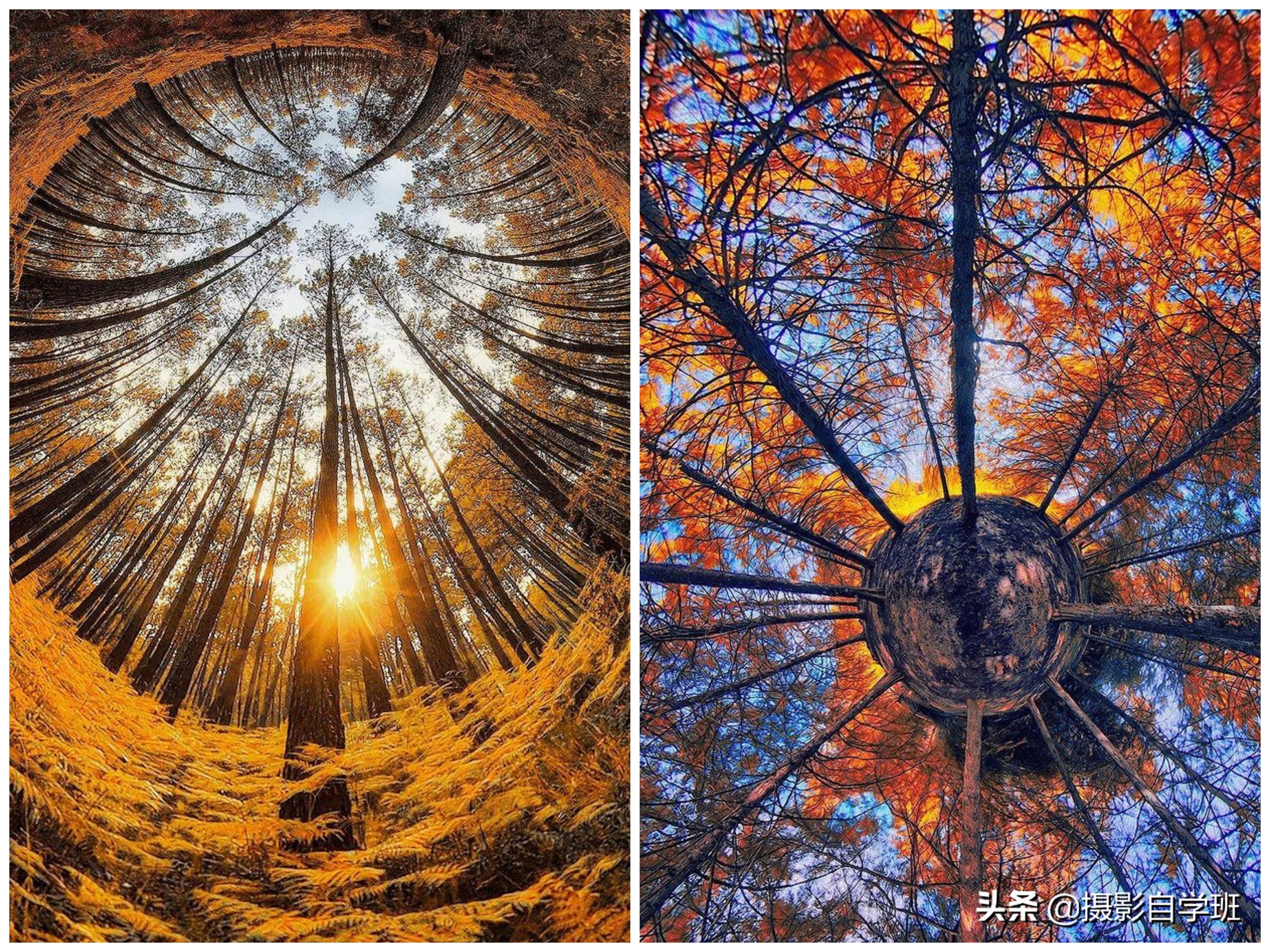 拍风光的12个摄影技巧,从零开始教你学摄影拍摄风光