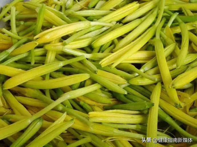 哪些蔬菜不能吃有营养,哪些蔬菜不宜食用