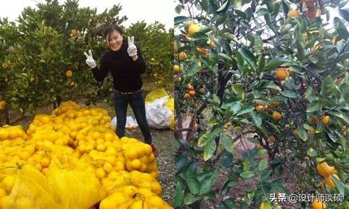 这个40岁大叔为钓鱼租下一座岛,改造破屋成海景房!