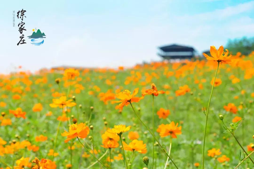 清远七天玩乐,清远一日游最佳景点一览表最新