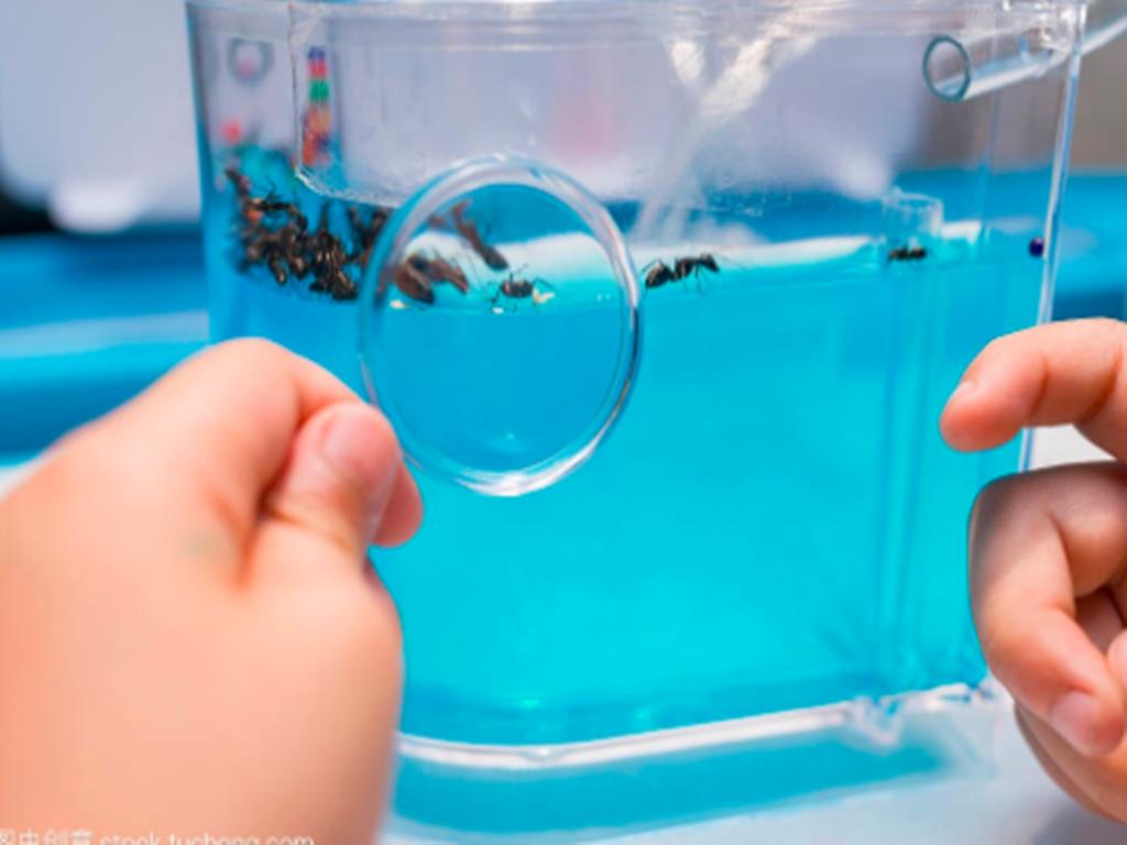 你有勇气让我“无用”，我就有可能走向辉煌