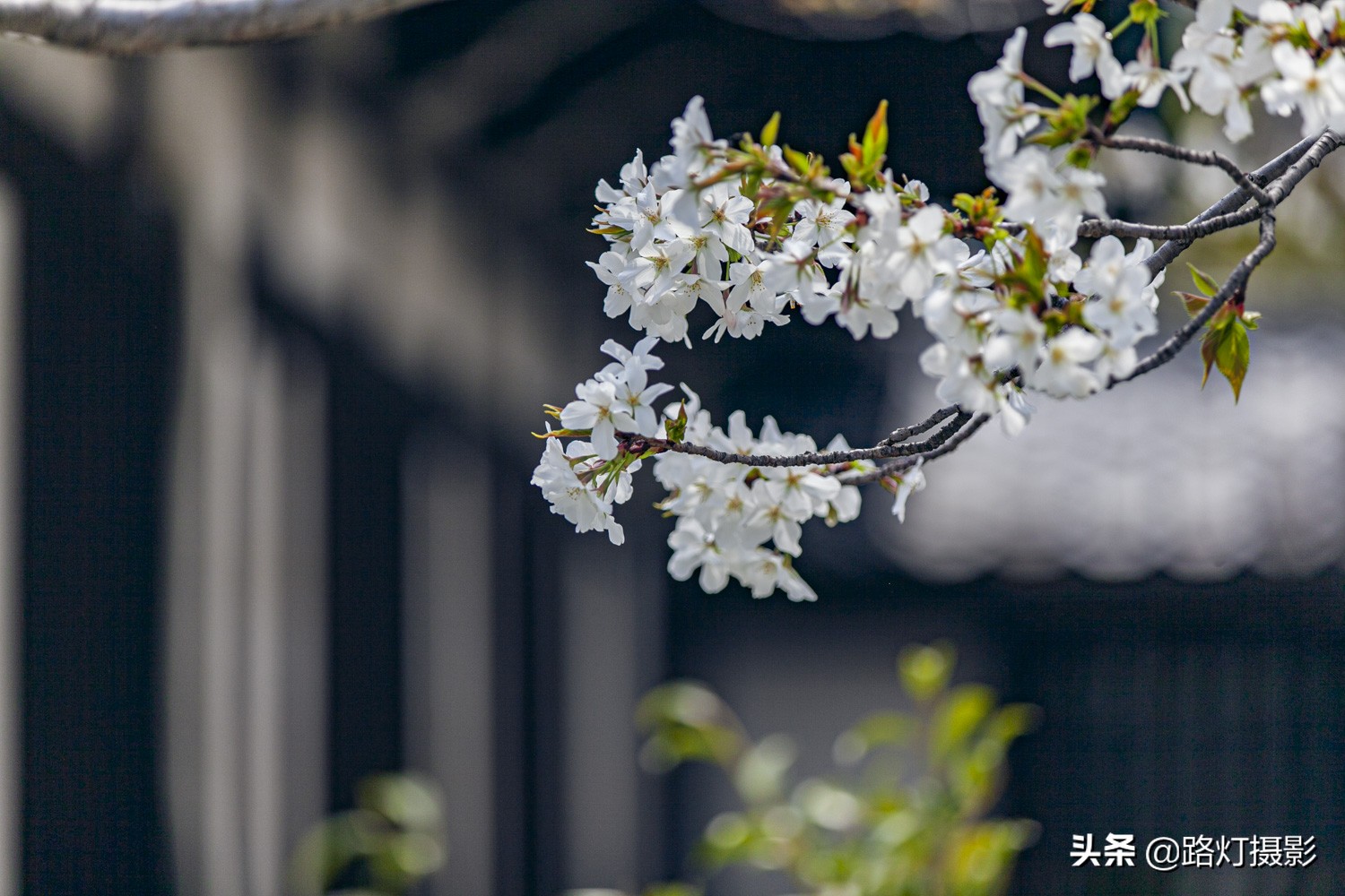 风俗习惯不一样的后果,去日本旅游的禁忌有哪些