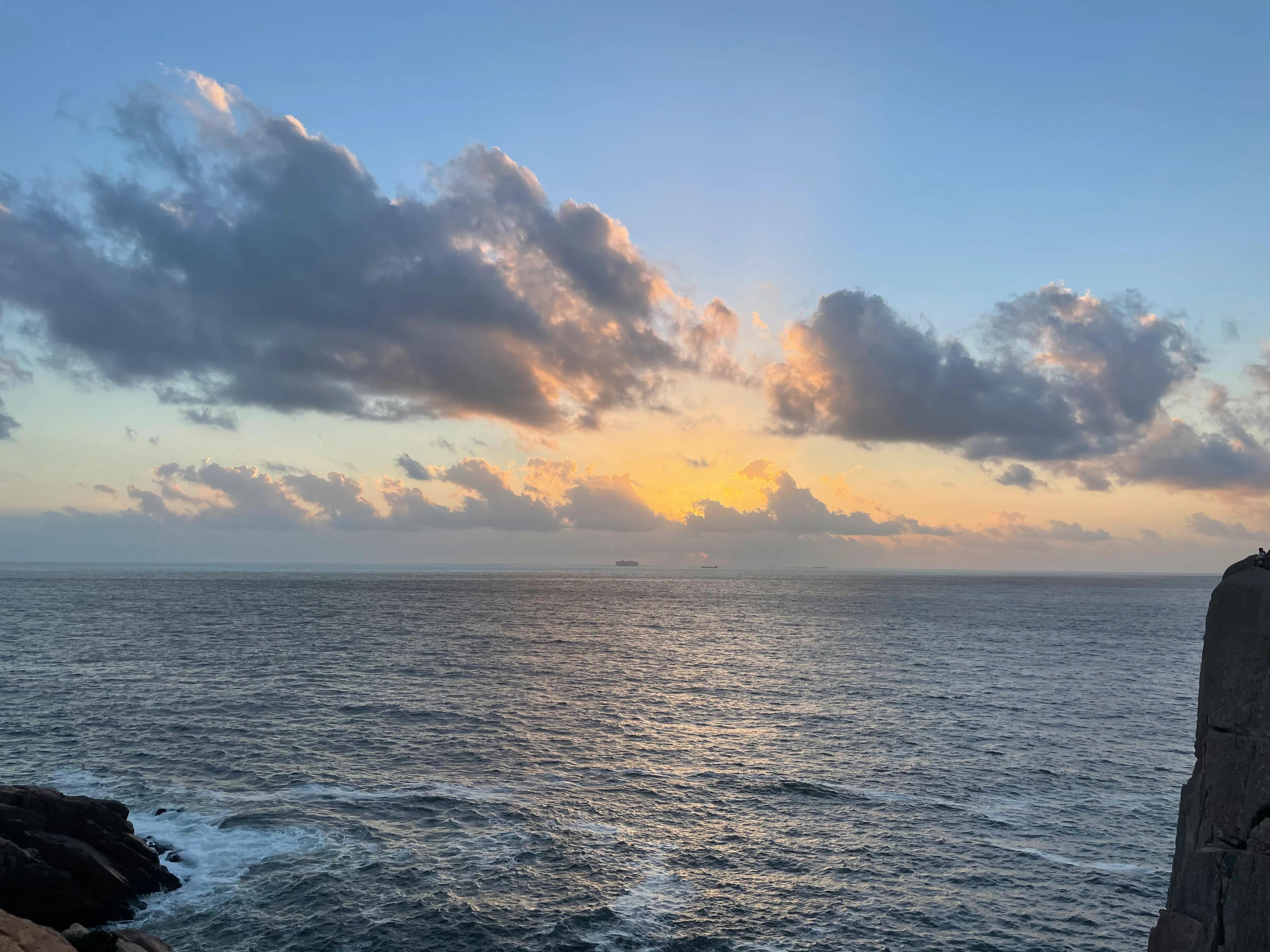 美丽枸杞,美丽的枸杞