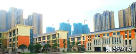 大源片区小学排名,高新区大源片区学校排名