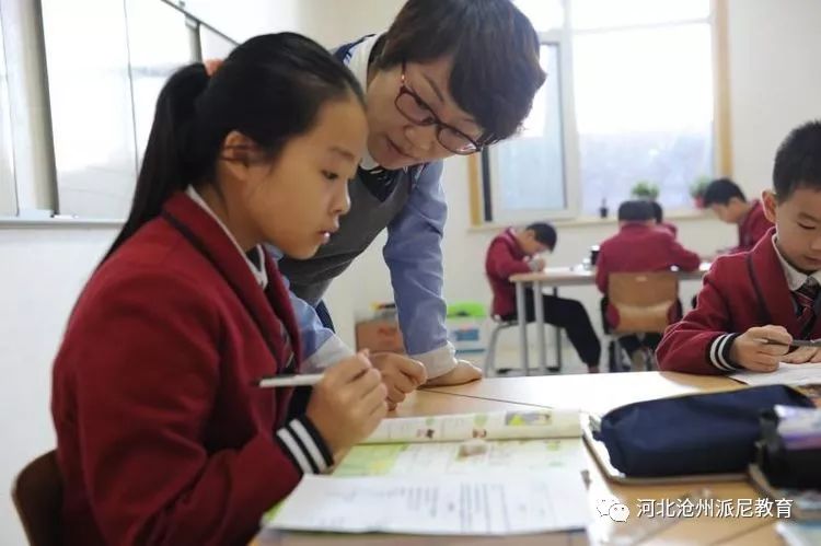 春风十里梦起航，听课评课促成长