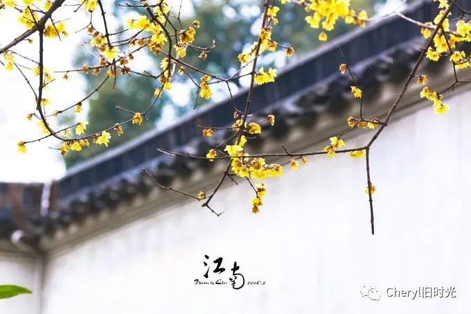 苏州旅游值得去的景点,去苏州旅游攻略最好的景点