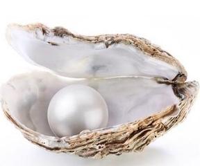 珍珠粉有什么美白效果,珍珠粉的作用与功效美白淡斑