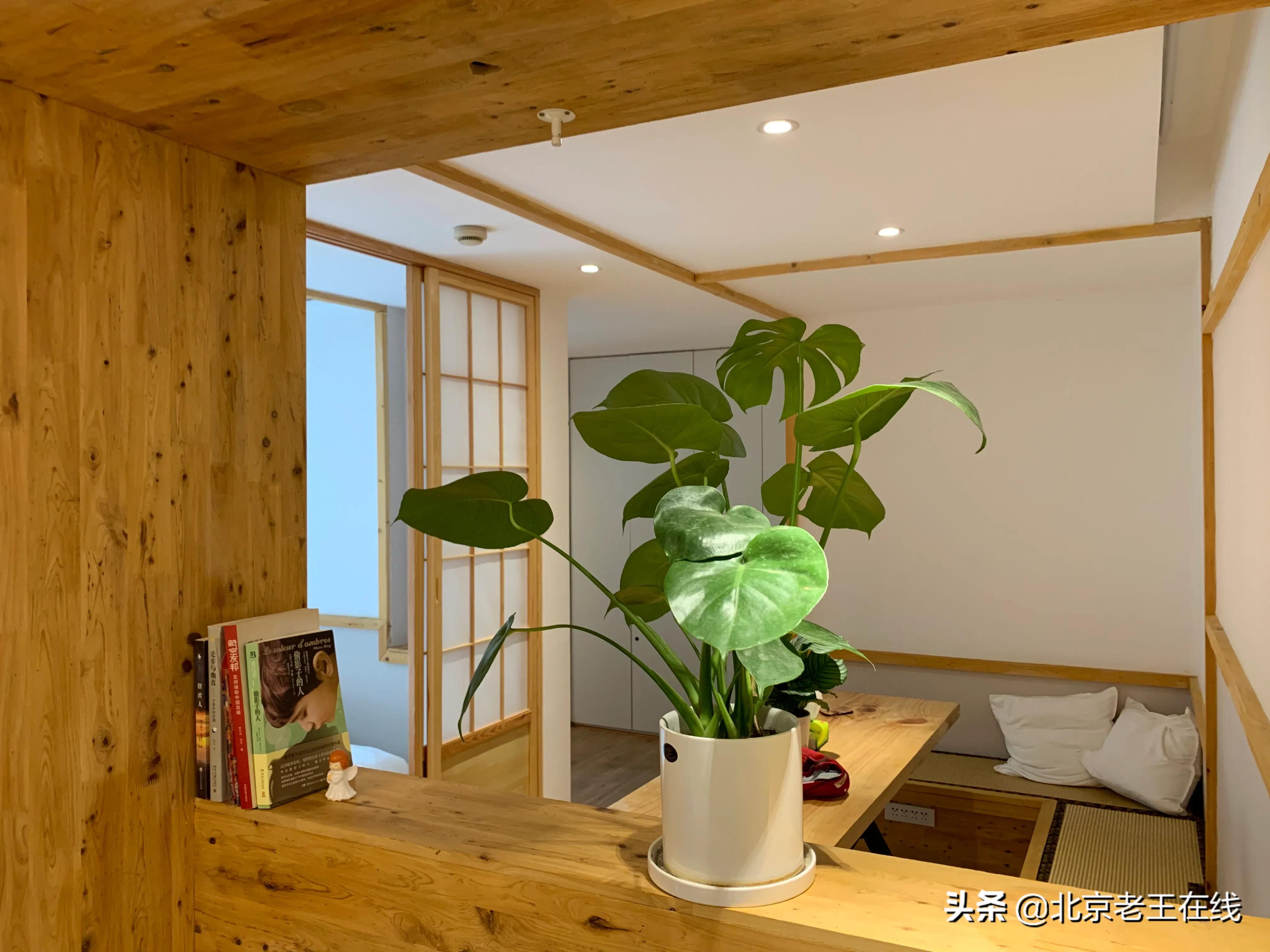 川渝8日出游,成都旅游如何选择民宿更安全