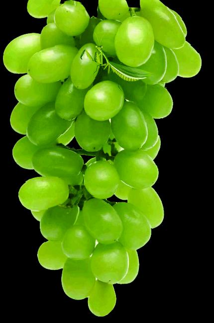 大年初五群相册，有群的都看看，太美了，这辈子见一次值了