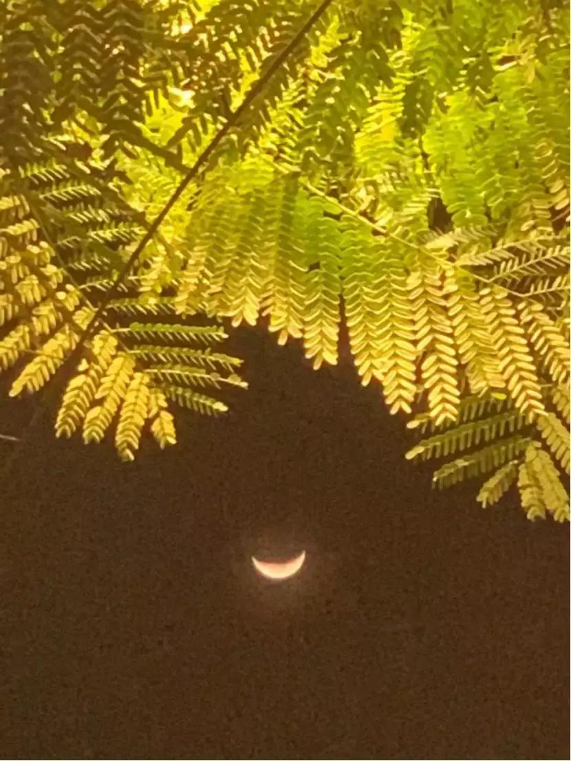 致敬华为感谢祖国,华为是祖国的骄傲视频