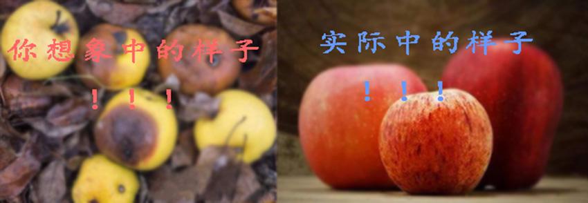 糜烂性胃炎久治不愈怎么回事,糜烂性胃炎久治不愈怎么办