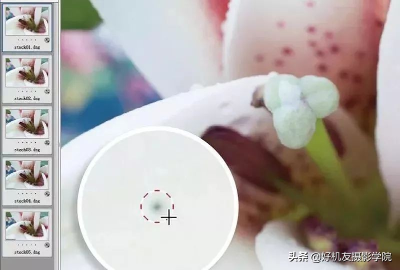 景深后期怎么合成照片,如何拍出前虚后实的景深照片