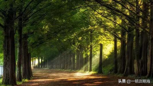 告别亏损的五个秘诀,散户远离亏损的5个方法