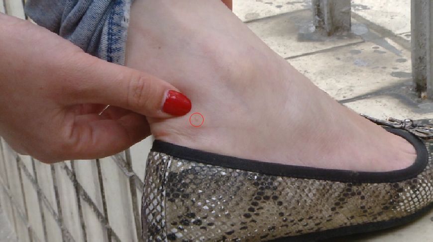 广西红火蚁最严重的县,广西发现红火蚁怎么上报