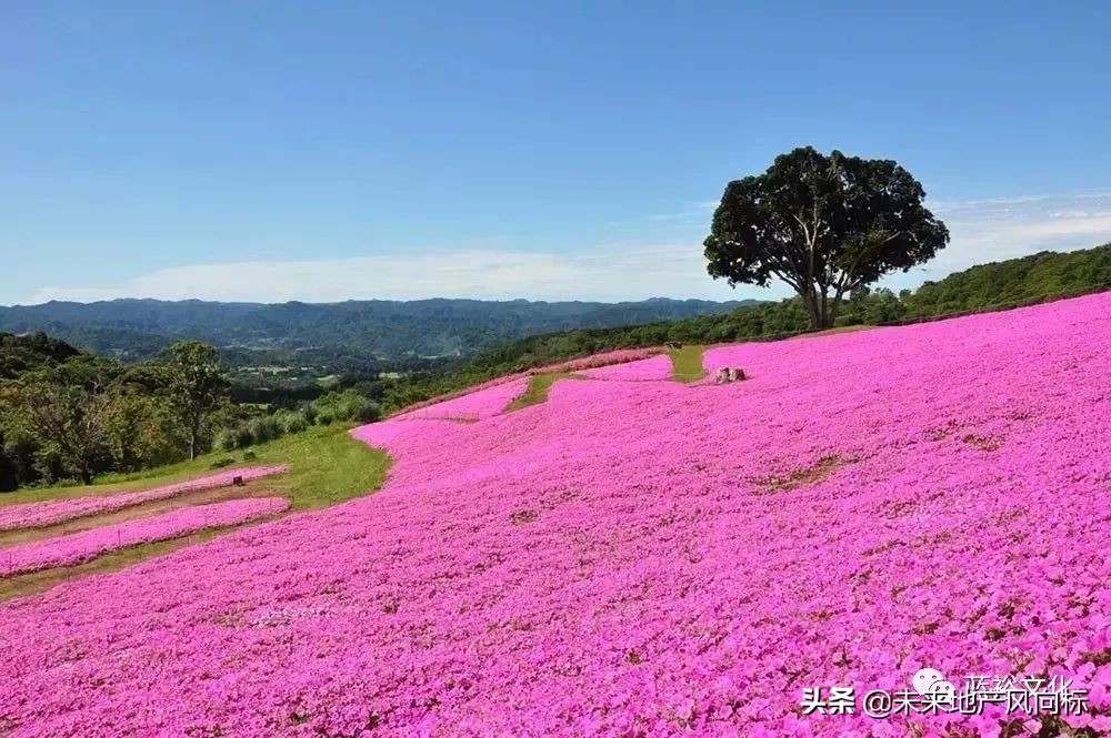 母亲牧场要玩多久,低成本花园家庭农场亲子乐园