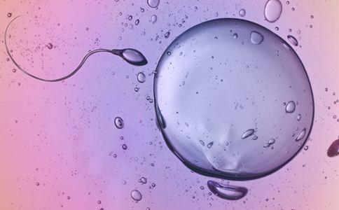 备孕时吃什么药能促进卵泡发育,卵泡发育不好如何备孕