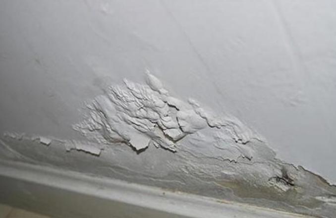 新房装修完墙面冒水怎么办,新装修房子墙面起碱怎么办