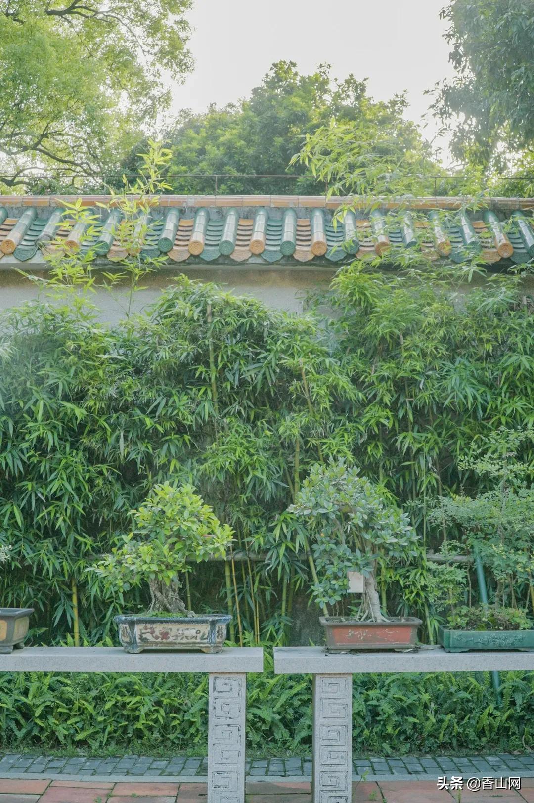 珠海鲜为人知的一面,珠海有名的花园