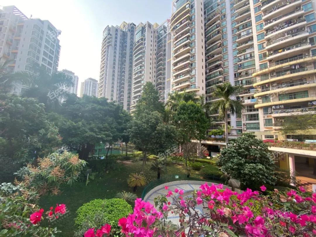 八大录取率名列前茅的二梯队石厦学校，学区房500万起