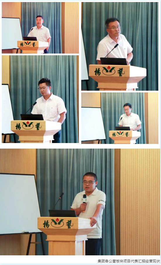 上海杨艺集团,杨艺集团最新公告