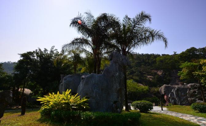 横琴石博园有什么好玩的,横琴石博园风景