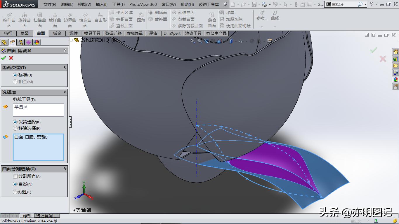 solidworks玫瑰花建模教程,玫瑰花建模solidworks尺寸图