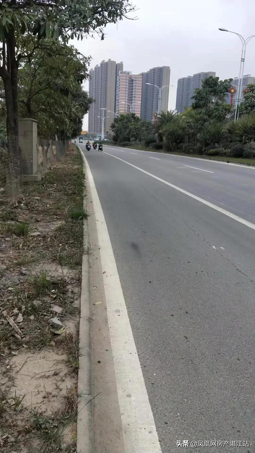 廉江市实验学校竞拍土地,廉江实验学校总投资