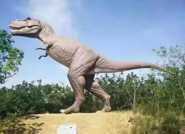 大连六一去哪儿玩,六一大连有免费玩的地方吗