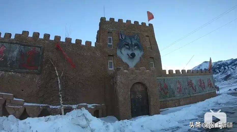 这位“女汉子”在*疆新**，把狼养成了哈士奇，就是经常揍狼的那个