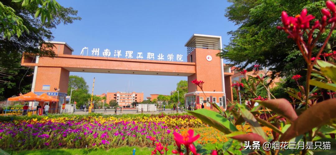 征集志愿广东专科有哪些学校,广东专科征集志愿学校