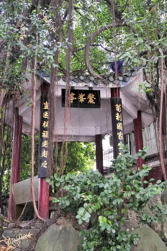 福州教院附属第一小学对口中学,福州鼓楼区小学直升对口初中条件