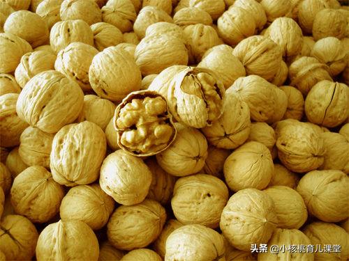 核桃油宝宝辅食专用补什么的,核桃油儿童辅食油