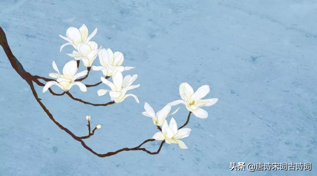 小令十首,最撩人十首诗词