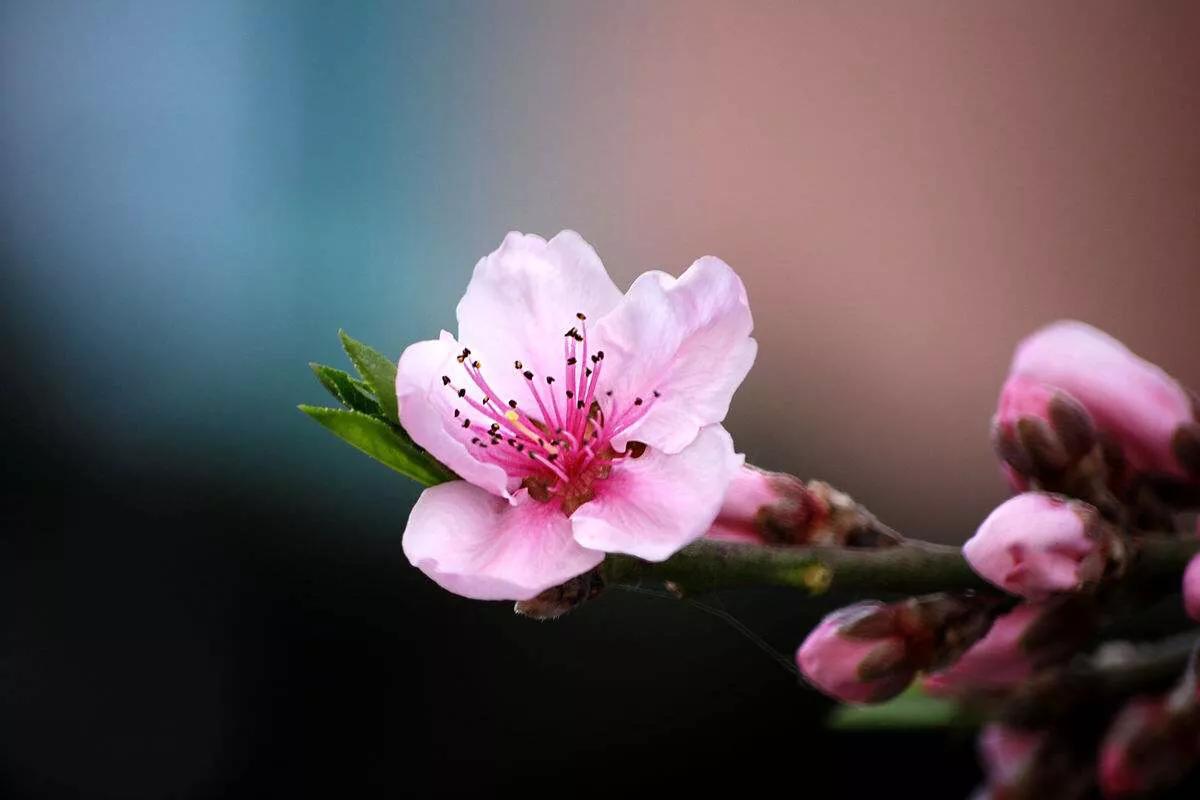 什么化妆品能12天快速美白,简单有效的美白护肤品