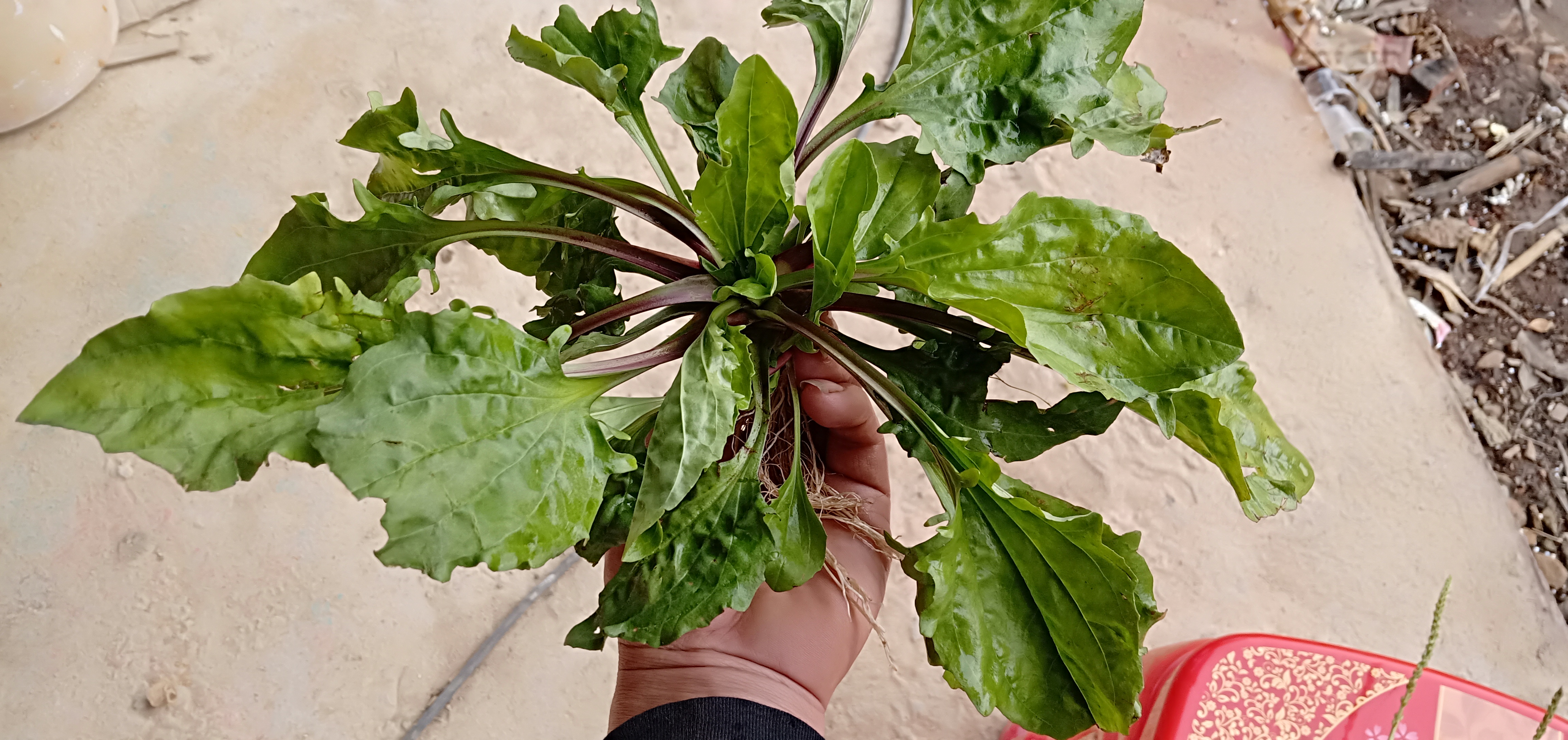 尿道炎前列腺炎的保守治疗方法,治疗尿道炎前列腺炎最好的中成药