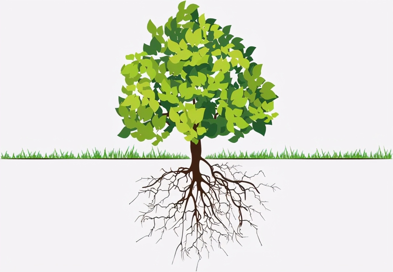 人力资源下一个风口：如何建造数字中台？