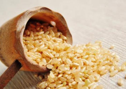 黄帝内经的中医养生之本,夫精者身之本也原文