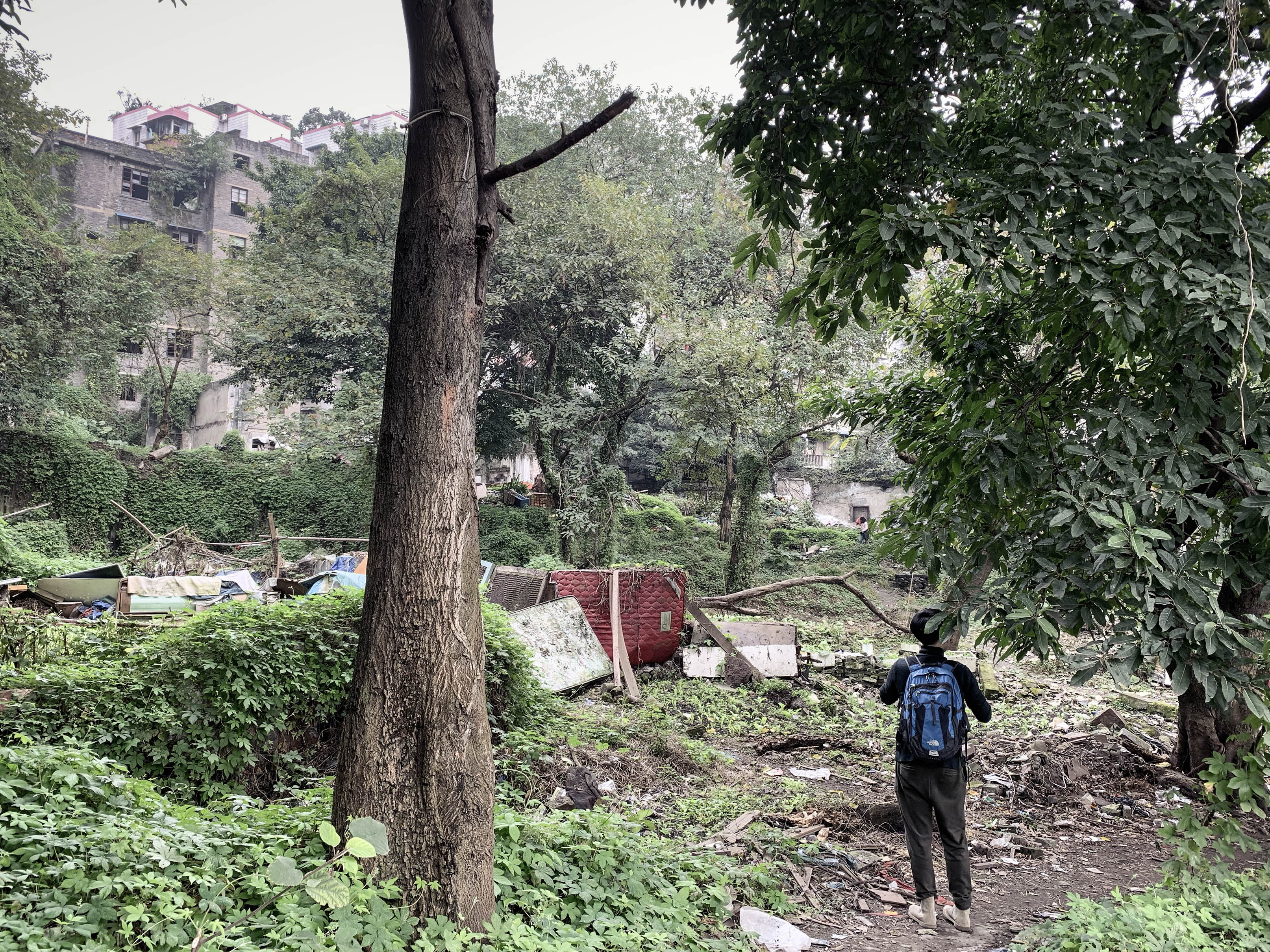 开着福特福克斯去旅游,全新福克斯旅行