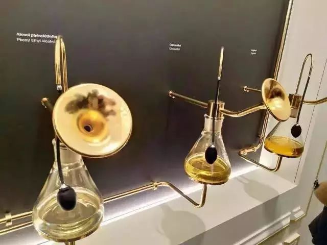 世界香水之都,法国最好的香水镇