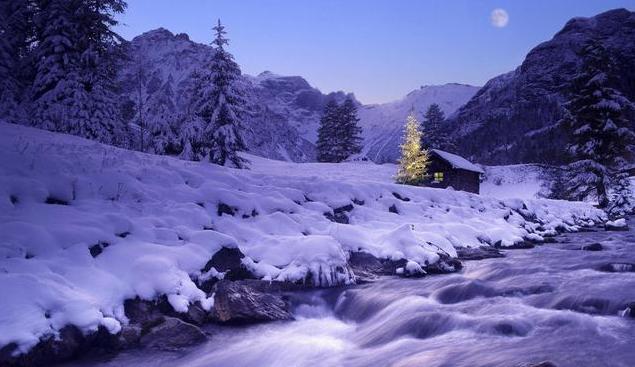 忘恩负义的白眼狼,曹教授是如何头也不回地走向不孝这条不归路的