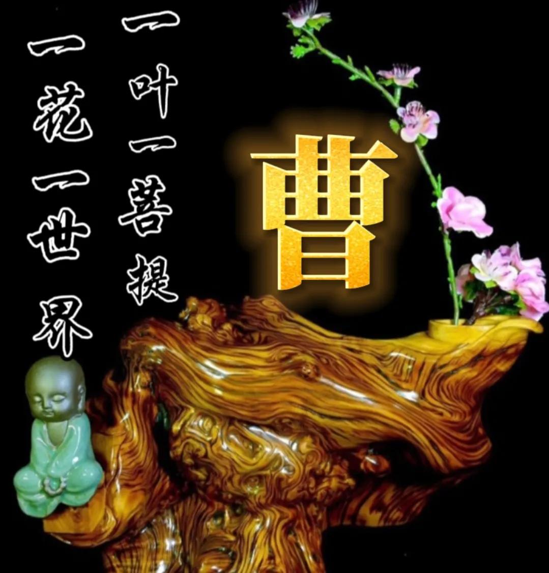 一花一世界一叶一菩提头像,一叶一菩提禅意微信头像