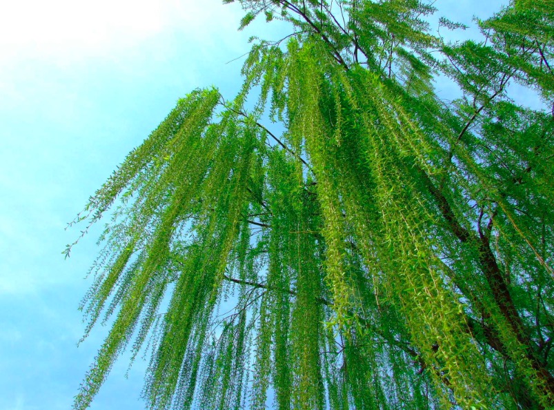 王之涣的六首诗最出名,王之涣六首最出名的诗