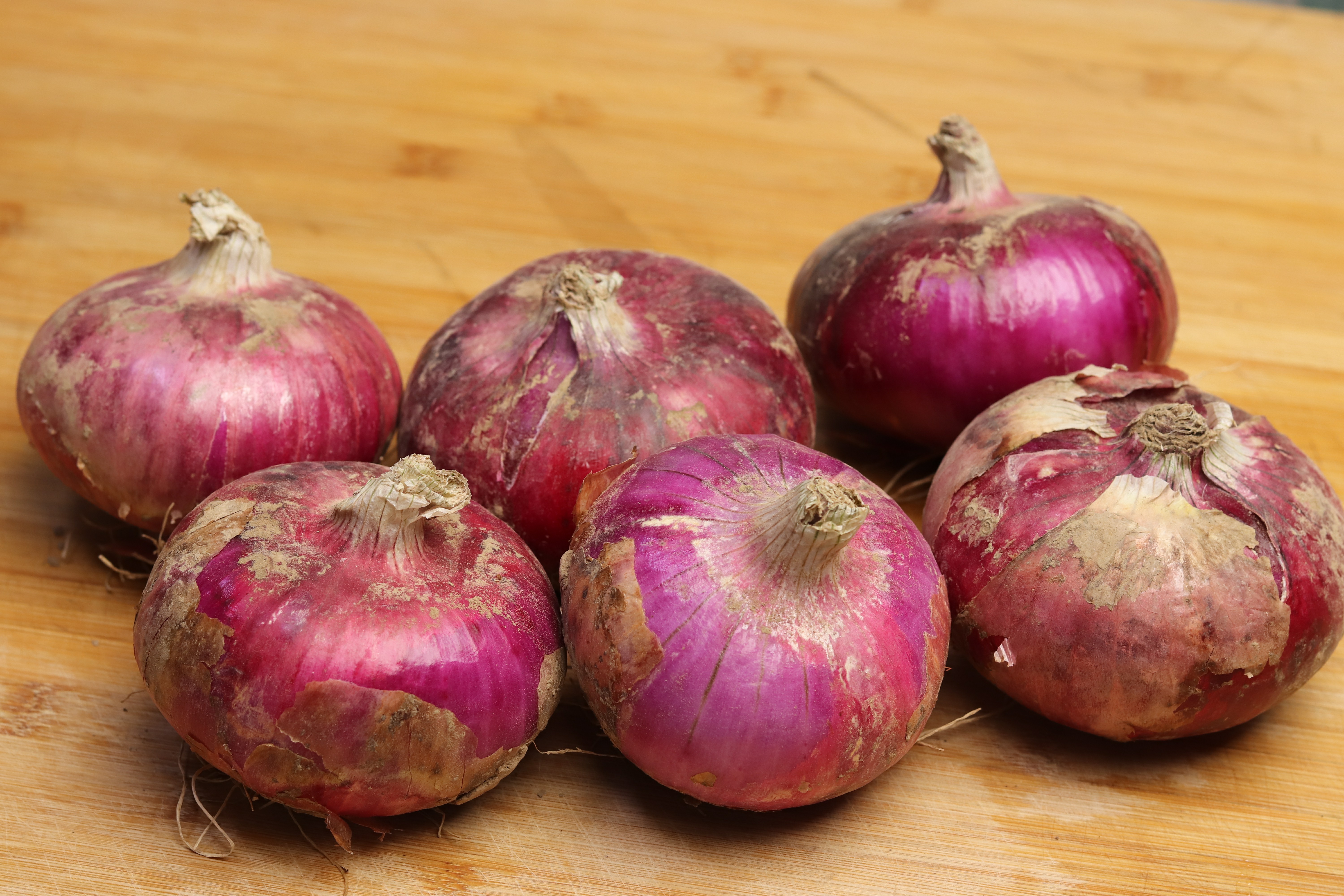 紫皮洋葱和新鲜洋葱有什么区别,洋葱紫皮和黄皮的区别