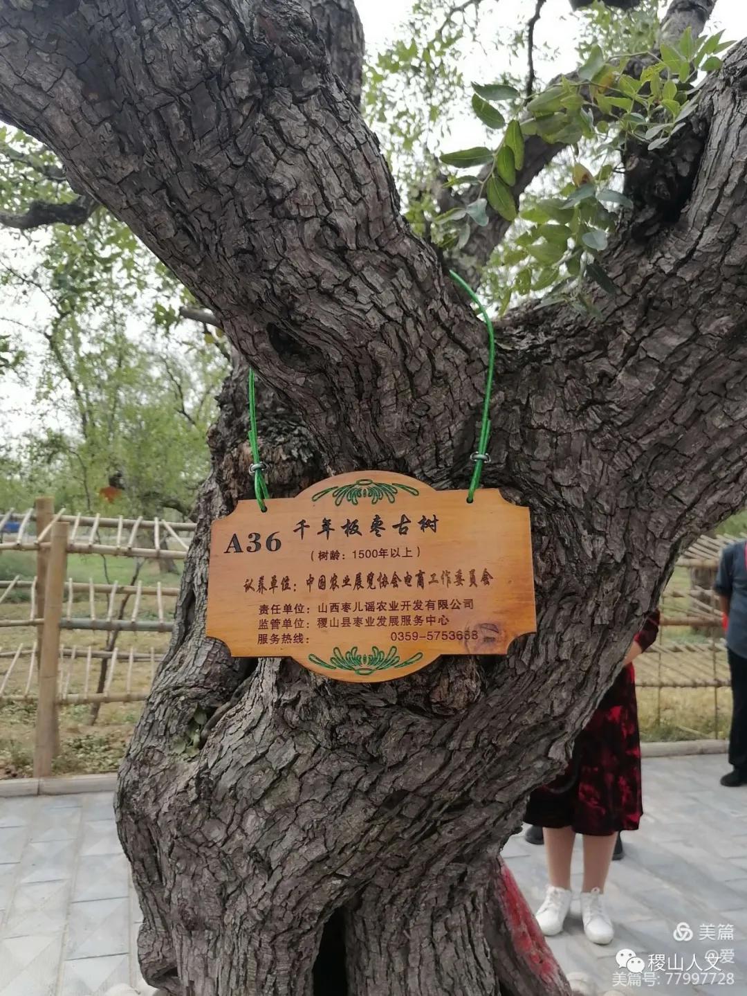 我骄傲我是介休人朗诵,我骄傲我是山西泽州人