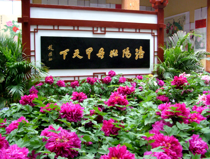 洛阳历史名城,洛阳历史古迹