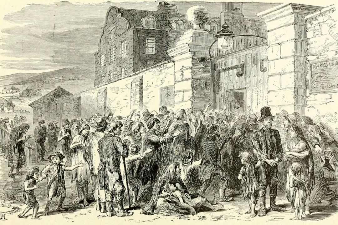 爱尔兰饥荒死亡原因,爱尔兰饥荒死亡多少