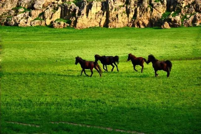贵州有哪些好玩的小镇,贵州有哪些宜居小城