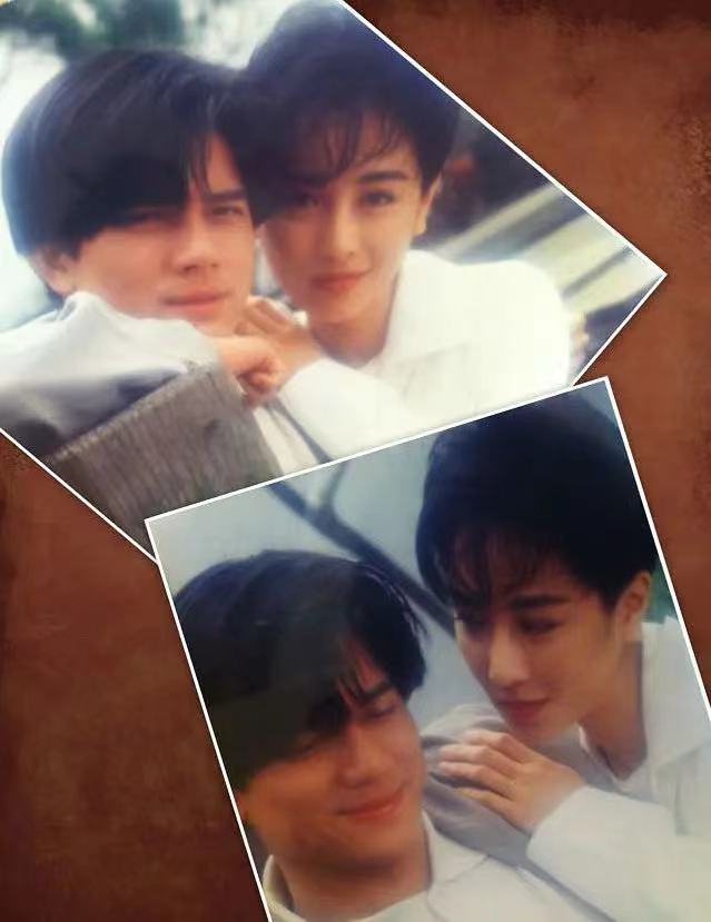 袁洁莹为何息影,袁洁莹巅峰时的美貌