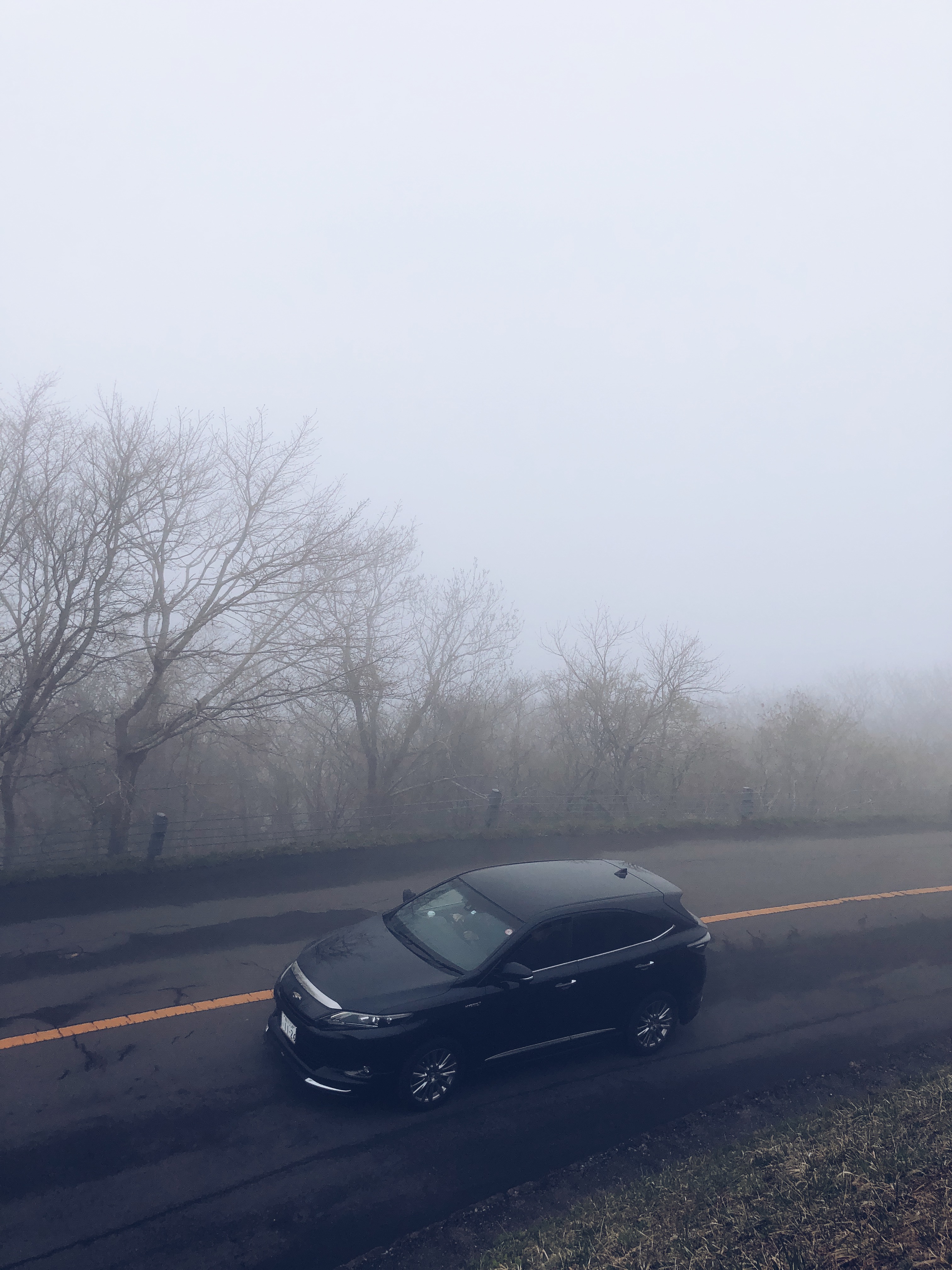 和老人小孩一起旅游,八天七晚豪华游轮旅游