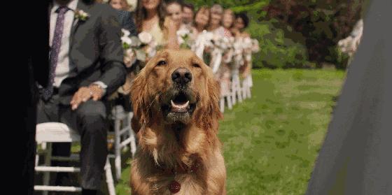 拯救不开心之类电影推荐,十部让人内心平静的电影